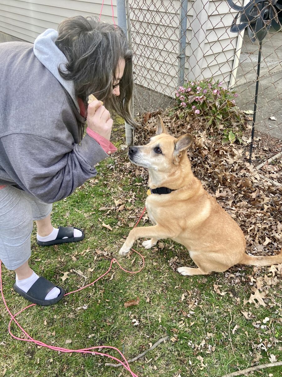 Ruth bends over to make eye contact with her dog, who is lifting her paw to do a trick.