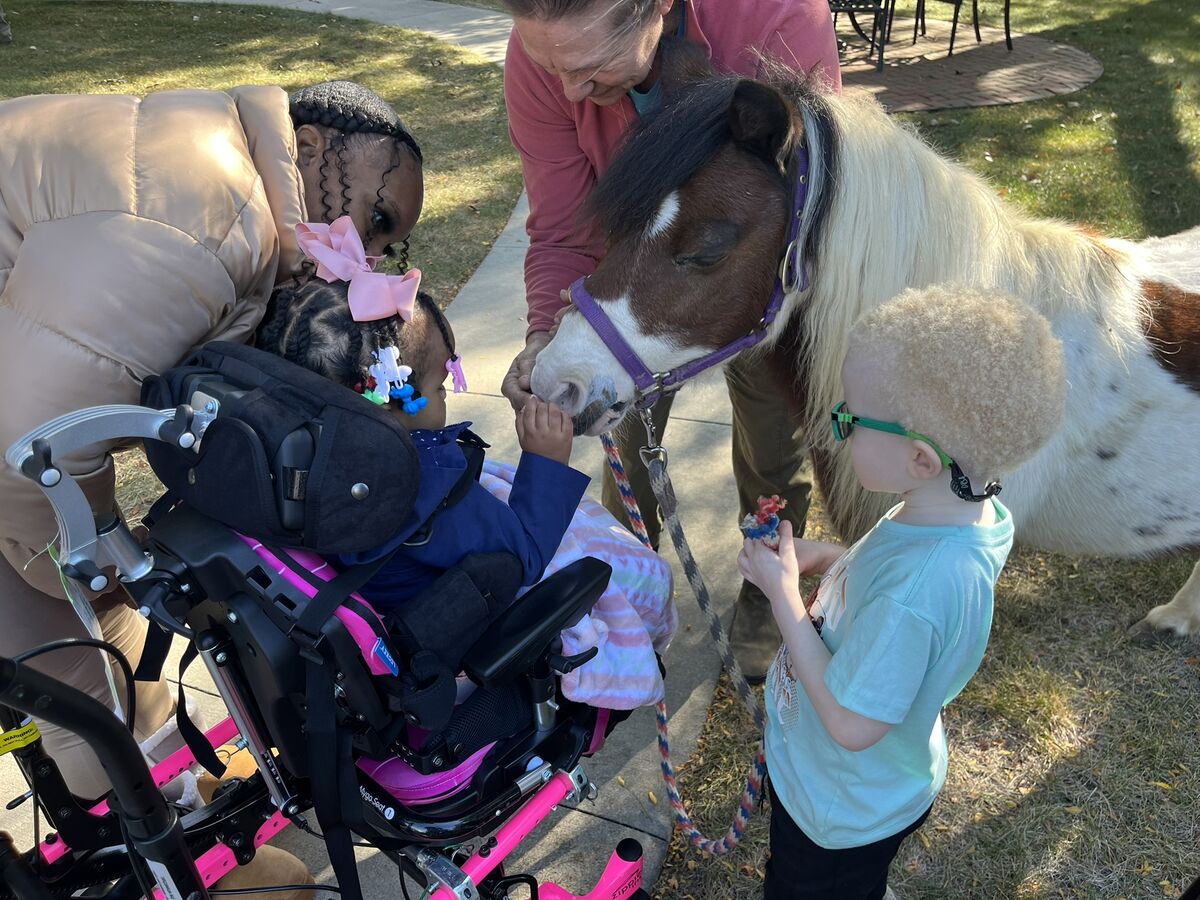 a little girl in a wheelchair pets a small pony as a preschool-aged boy watches and waits his turn.